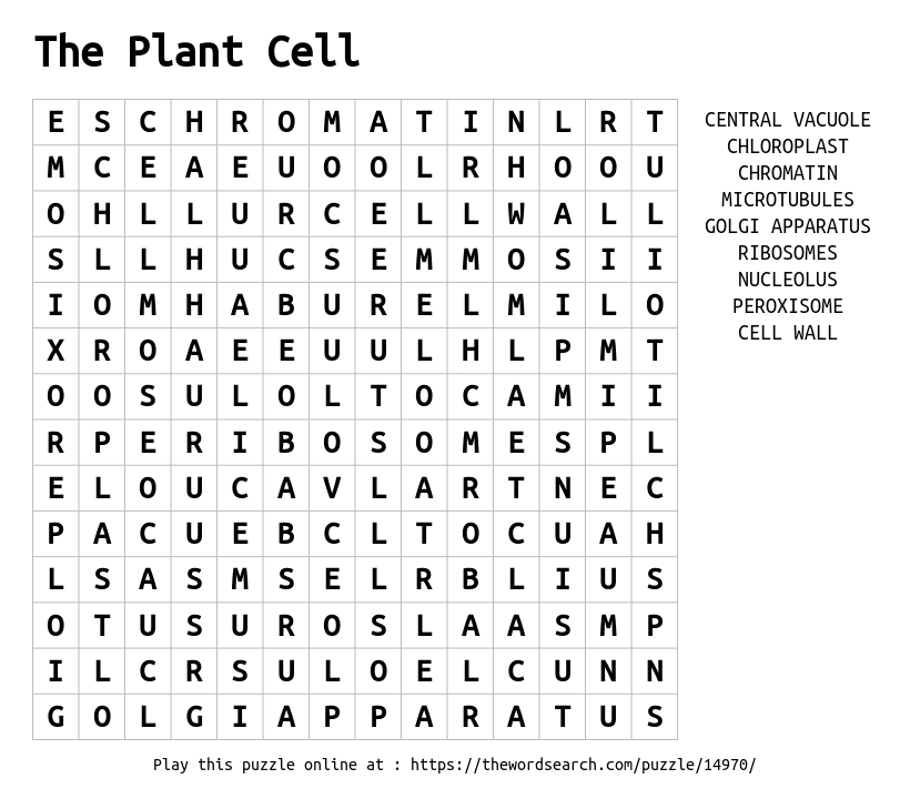 word-search-14970-png