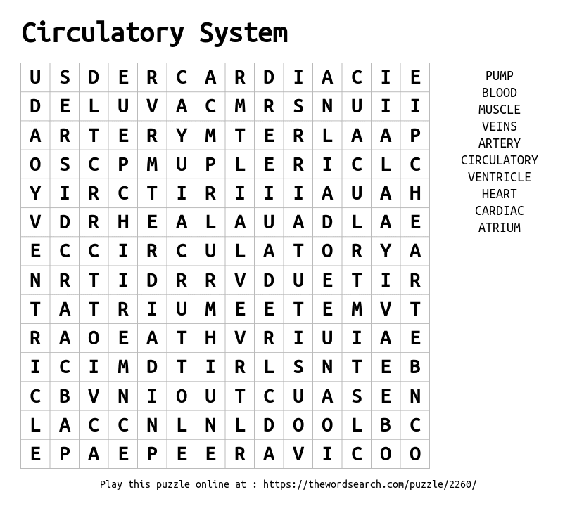 Circulatory System Word Search