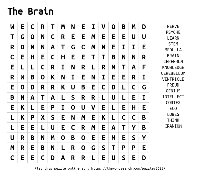 Brain Word Search Printable