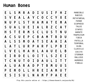 Word Search on Human Bones