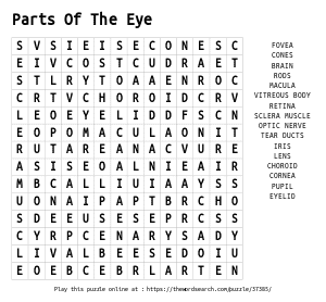 Word Search on Parts Of The Eye