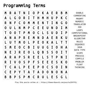 Word Search on Programming Terms