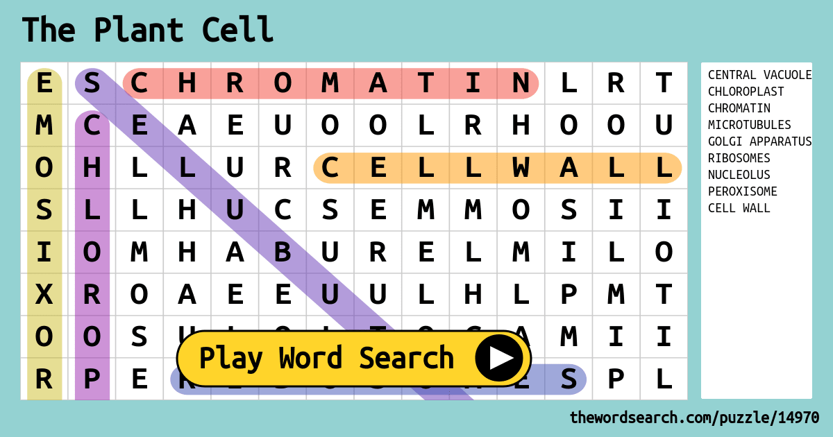 the-plant-cell-word-search