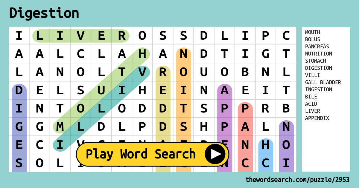 Digestion Word Search