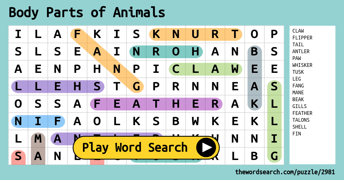 Animal body parts - Hangman