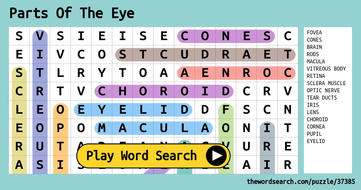 parts-of-the-eye-word-search