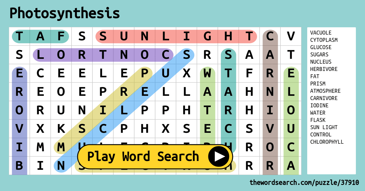 photosynthesis-word-search