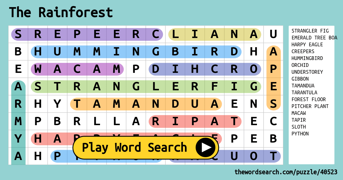 the rainforest word search