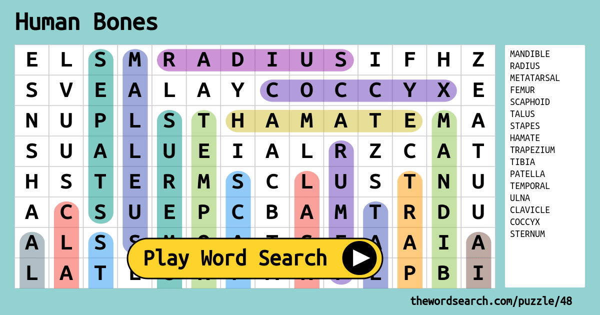 Human Bones Word Search