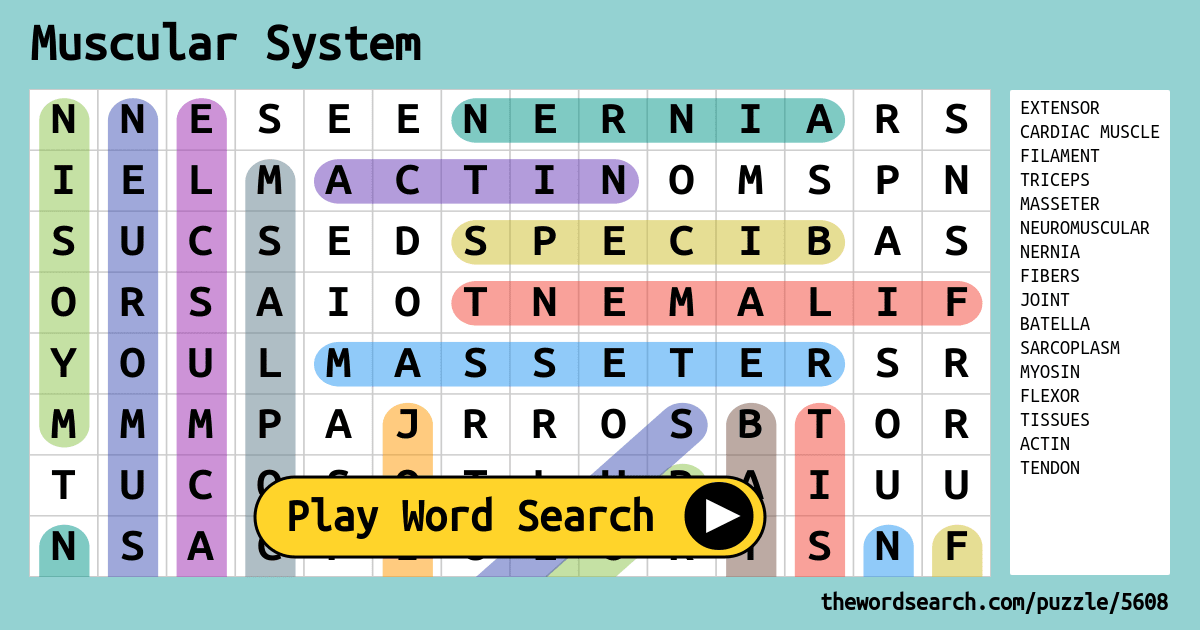 Muscular System Word Search