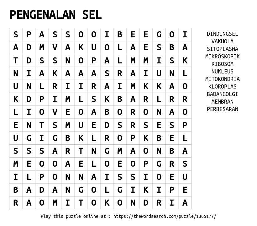 Sel Word Search Pdf