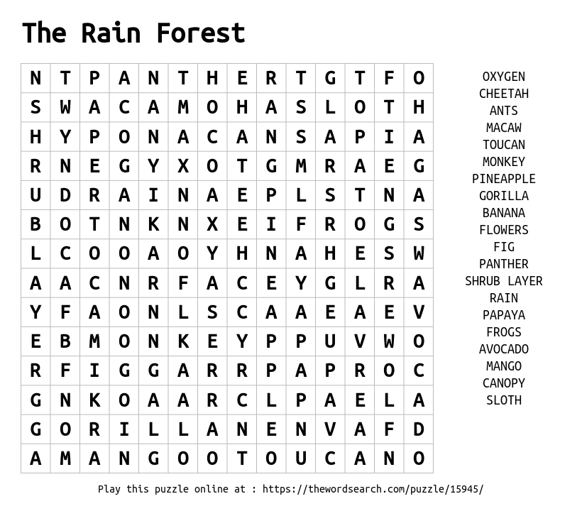 Download Word Search On The Rain Forest