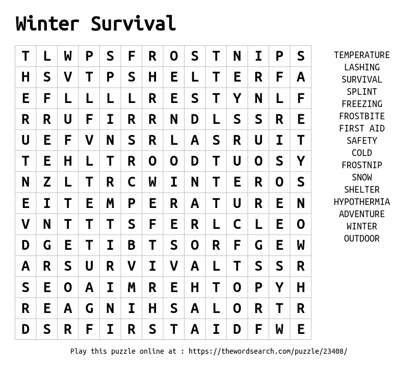 Word Search on Winter Survival