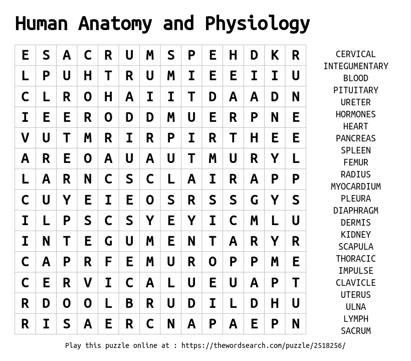 Anatomy Word Search Puzzles Printable