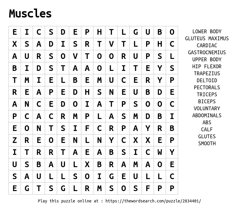 download-word-search-on-muscles