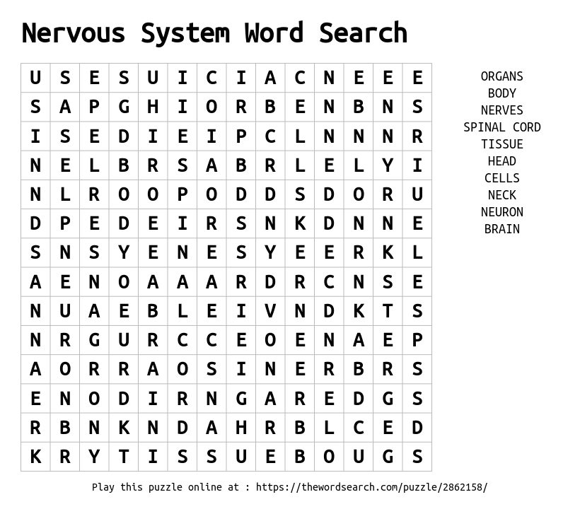 nervous-system-word-search-word-search