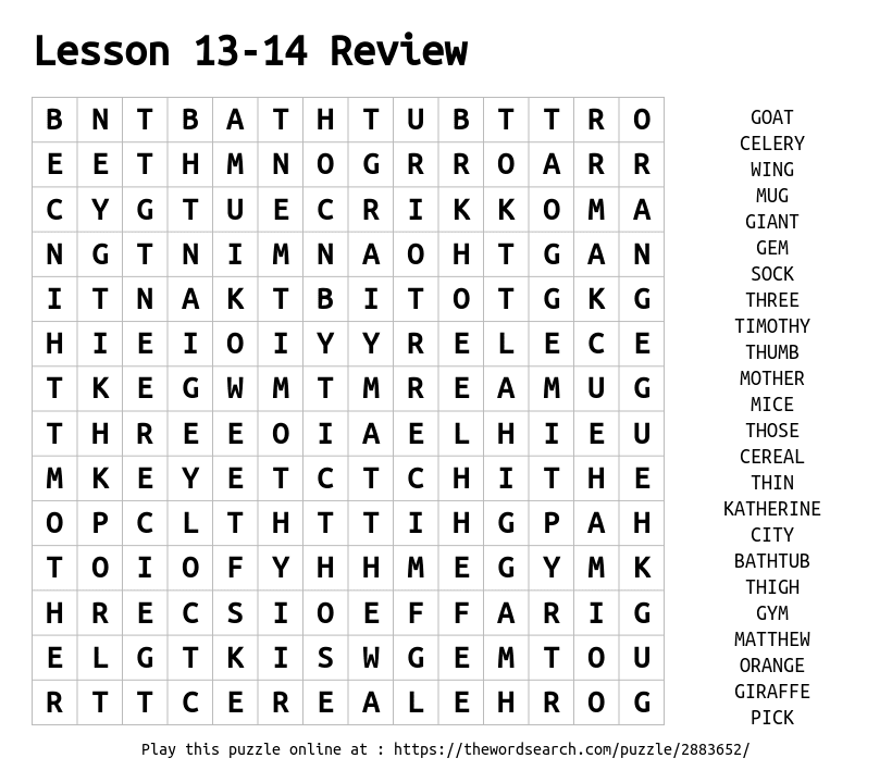 lesson-13-14-review-word-search