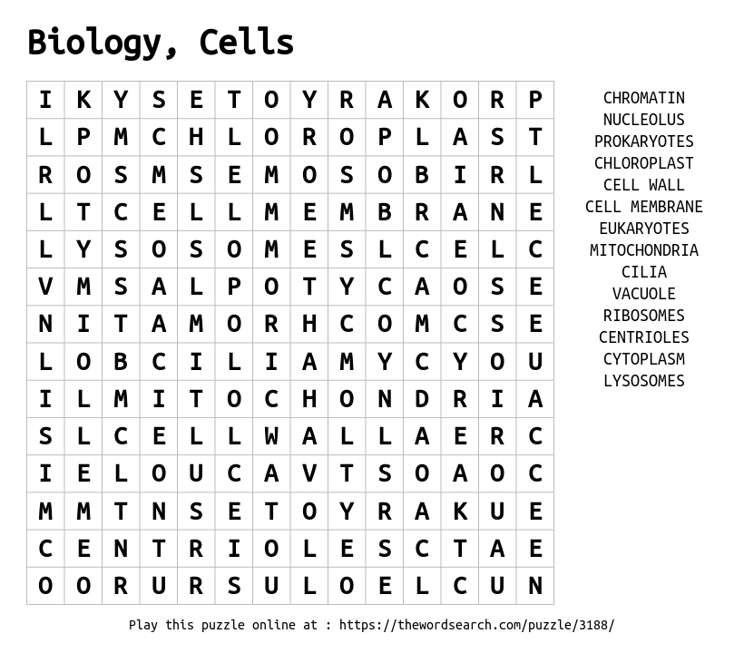 Download Word Search On Biology Cells