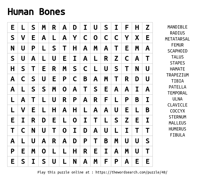 Human Bones Word Search