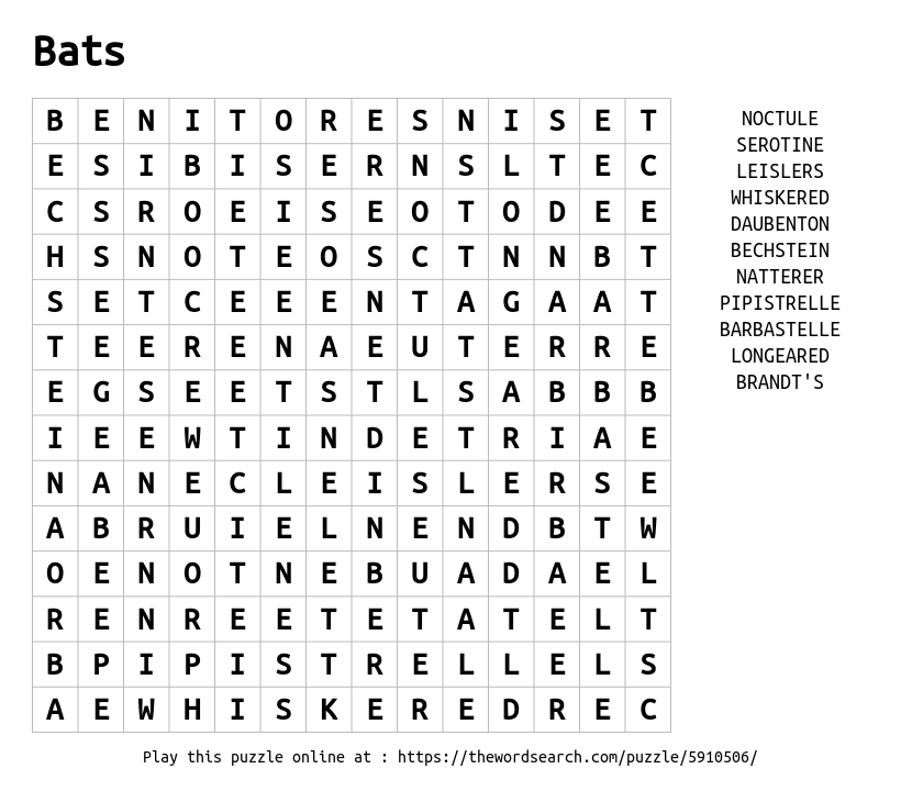 Download Word Search on Bats