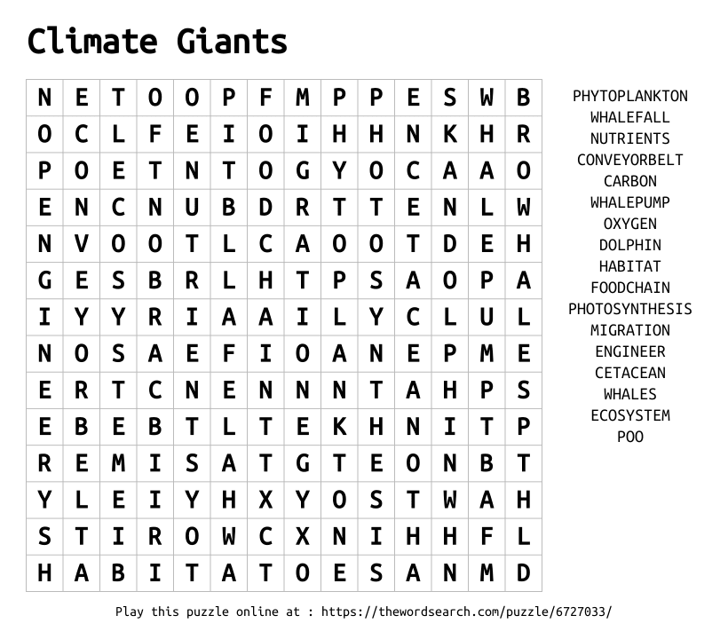 Word Search on Climate Giants