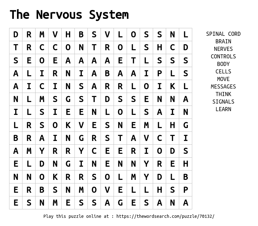 the-nervous-system-word-search