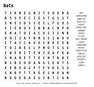 Word Search on Bats