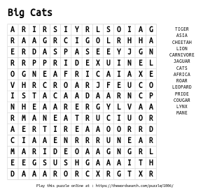Word Search on Big Cats