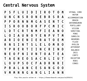 Word Search on Central Nervous System