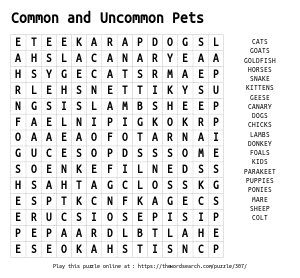 Word Search on Common and Uncommon Pets