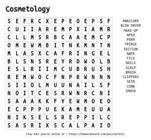 Word Search on Cosmetology
