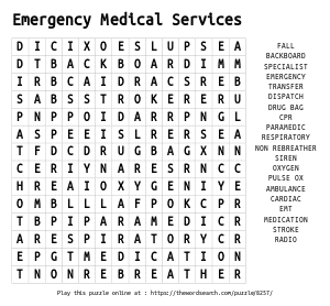 Word Search on Emergency Medical Services