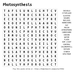 Word Search on Photosynthesis