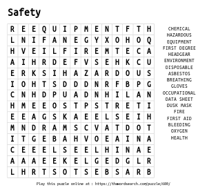 Word Search on Safety