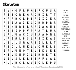 Word Search on Skeleton