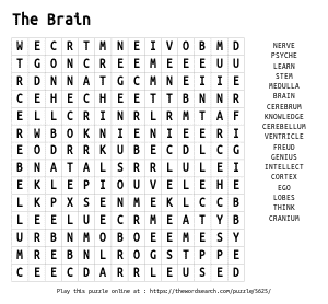 Word Search on The Brain