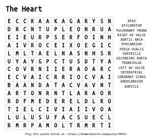 Word Search on The Heart