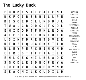 Word Search on The Lucky Duck