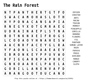 Word Search on The Rain Forest