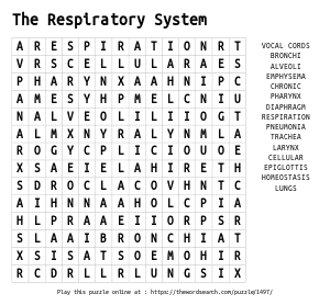 Word Search on The Respiratory System