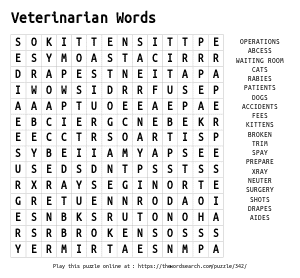 Word Search on Veterinarian Words