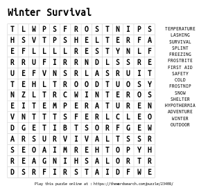 Word Search on Winter Survival
